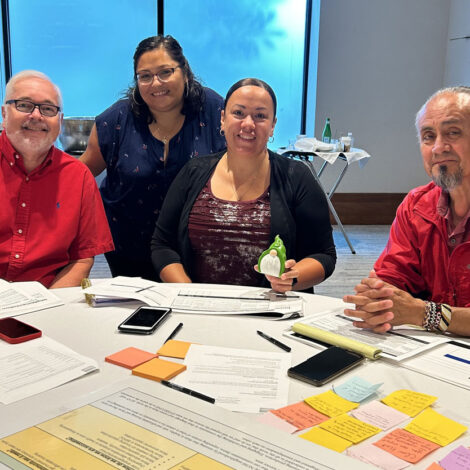 Health Equity Action Lab (HEAL) Grant
